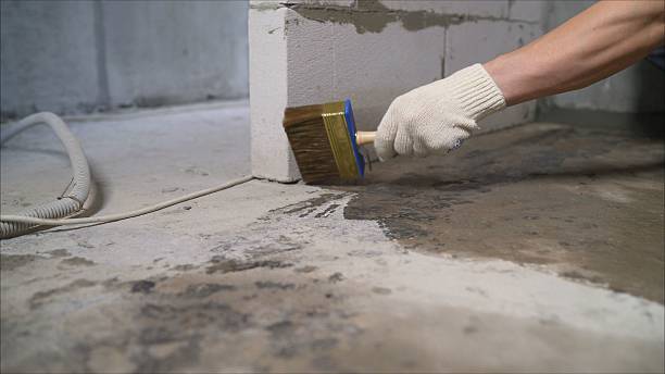 Crawl space vapor barrier installation in Birmingham, MI